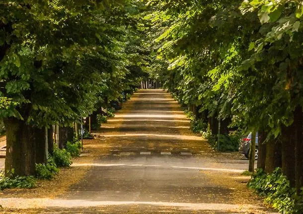 Sea Apartmet דירה